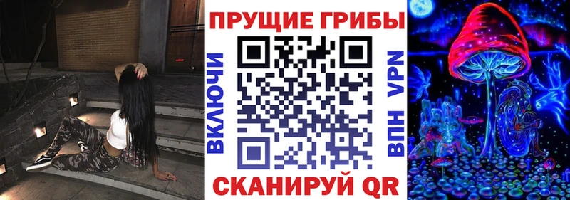 Купить закладки  Эртиль  Псилоцибиновые грибы Psilocybine cubensis 